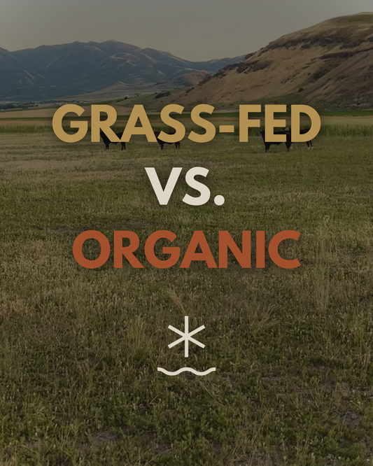 Grass-Fed vs. Organic Beef Graphic