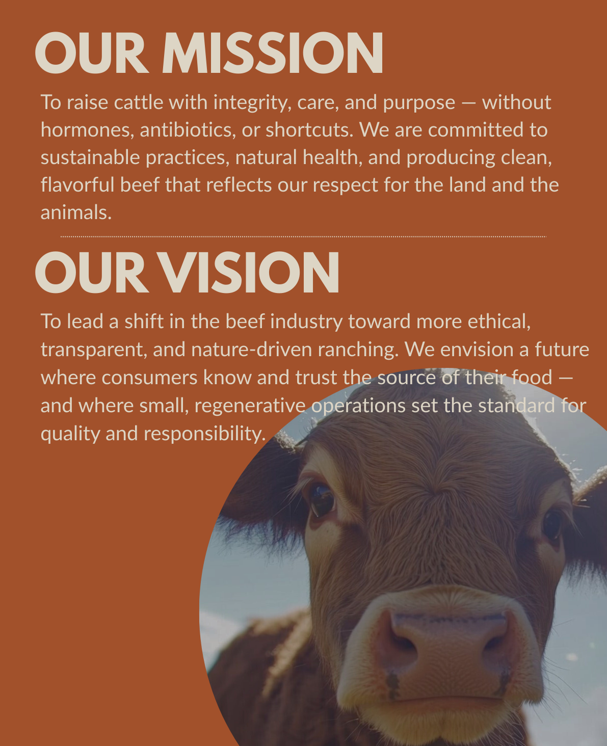 text-block-image-template--26022074450052__ss_text_block_pro_QR7VJc